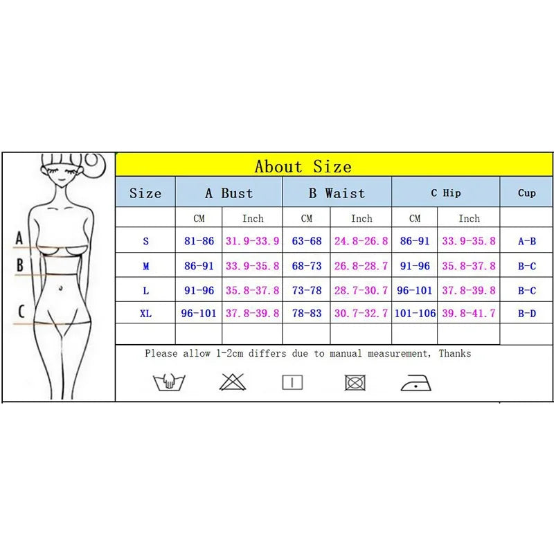 3 Pieces Bikini 2025 Sexy Women Swimsuit Swimwear Female Dress Cover Ups Push Up Bikini Set Beachwear Bathing Suit Swimming Suit